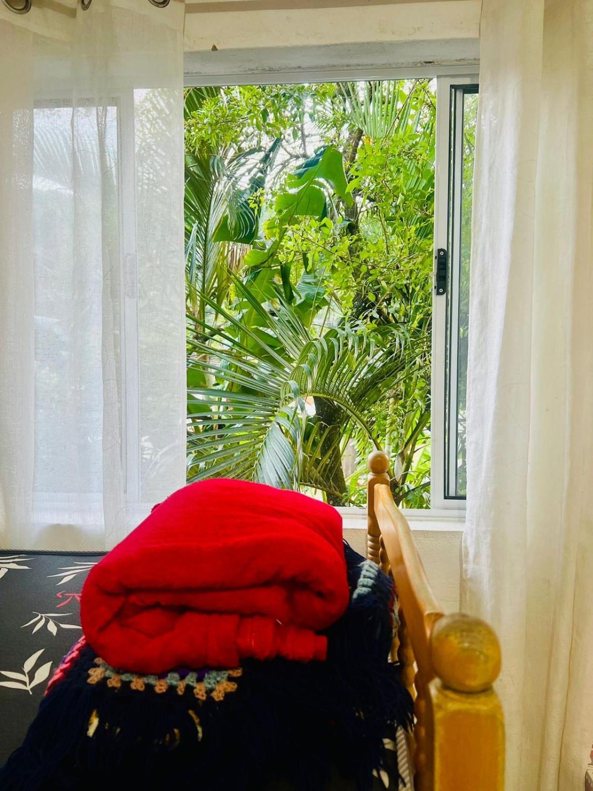 Xixova Hostel Japui Sao Vicente 大普拉亚 外观 照片